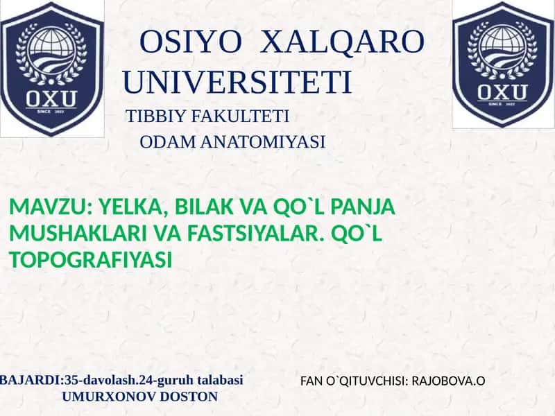 YELKA, BILAK VA QO`L PANJA MUSHAKLARI VA FASTSIYALAR