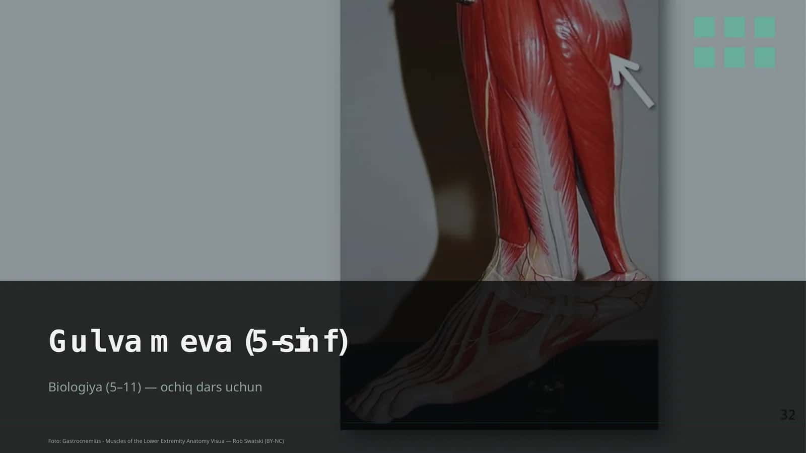 Gul va meva (5-sinf)