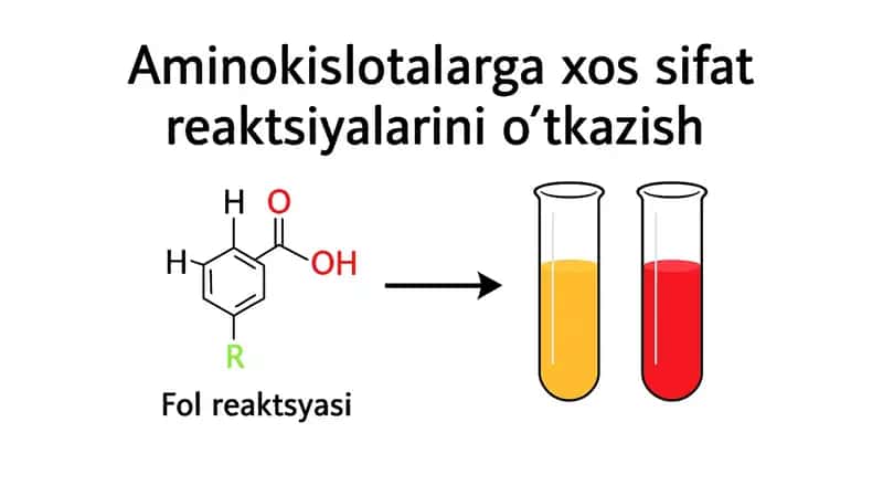 Aminokislotalarga xos sifat reaktsiyalari