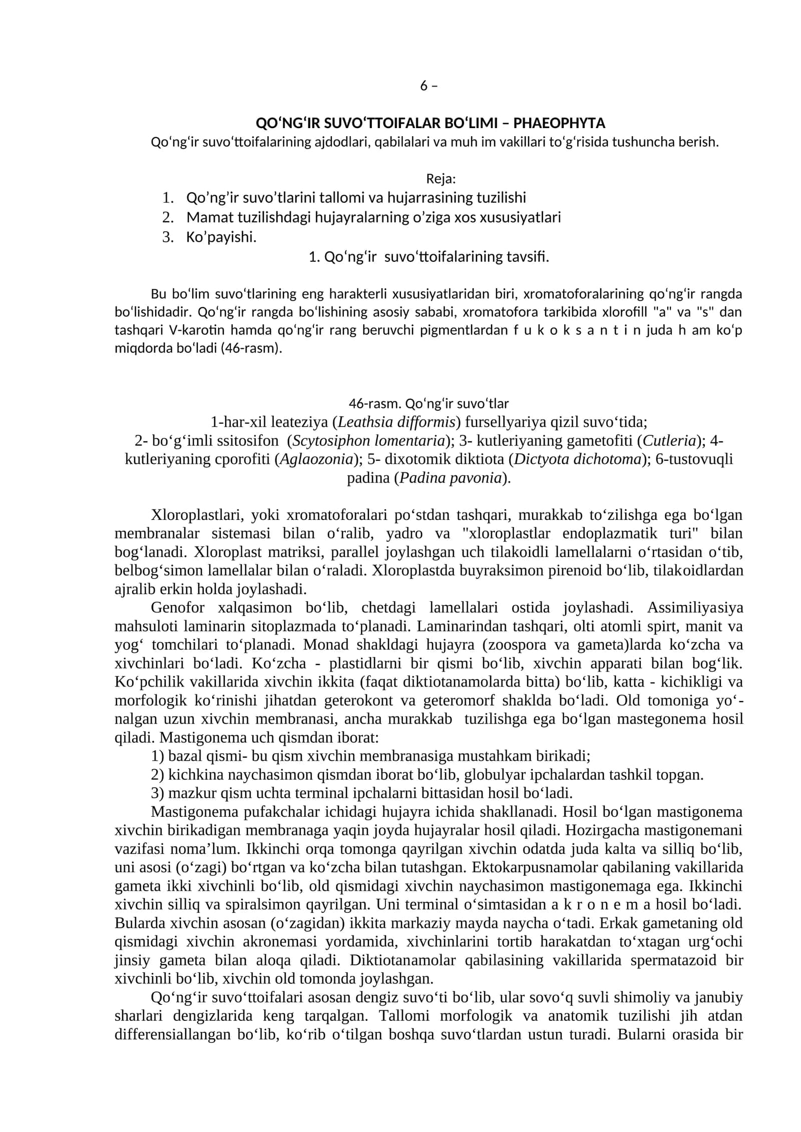 Qo‘ng‘ir suvo‘ttoifalar BO‘LIMI – PHAEOPHYTA