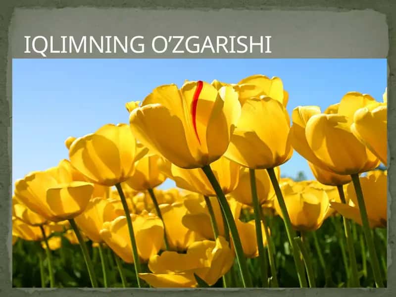 Иқлимнинг оʻzgarishi