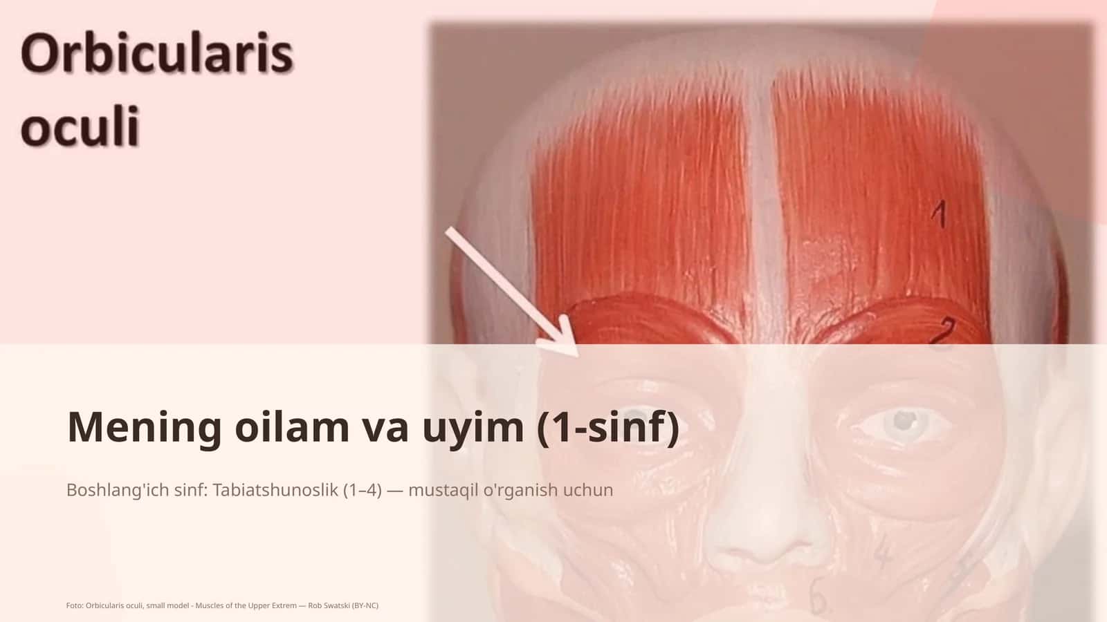 Mening oilam va uyim (1-sinf)