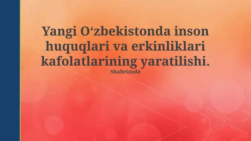 Yangi O'zbekistonda inson huquqlari va erkinliklari kafolatlarining yaratilishi