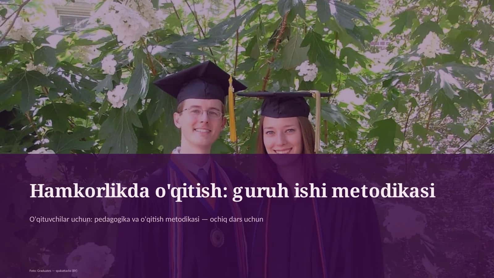 Hamkorlikda o'qitish: guruh ishi metodikasi