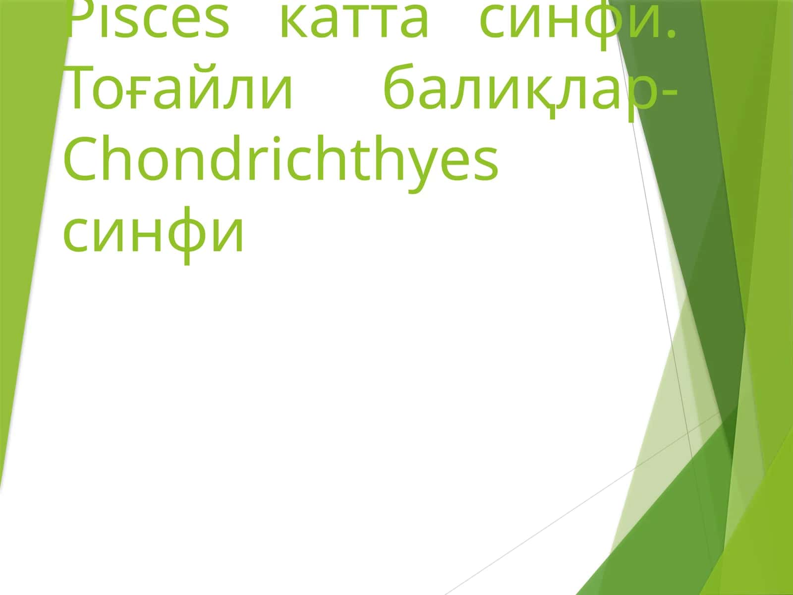 Тоғайли балиқлар-Pisces катта синфи