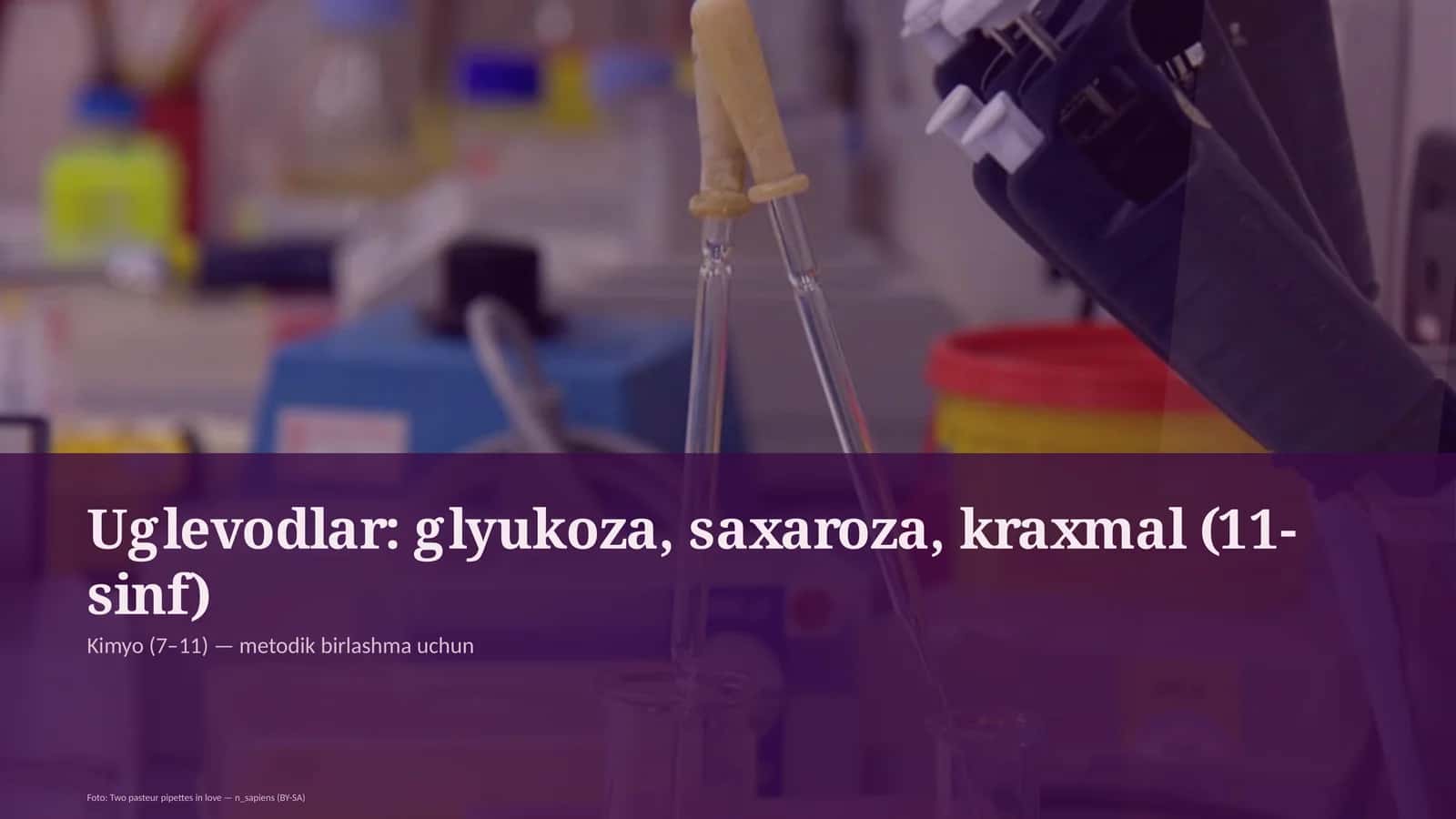 Uglevodlar: glyukoza, saxaroza, kraxmal (11-sinf)
