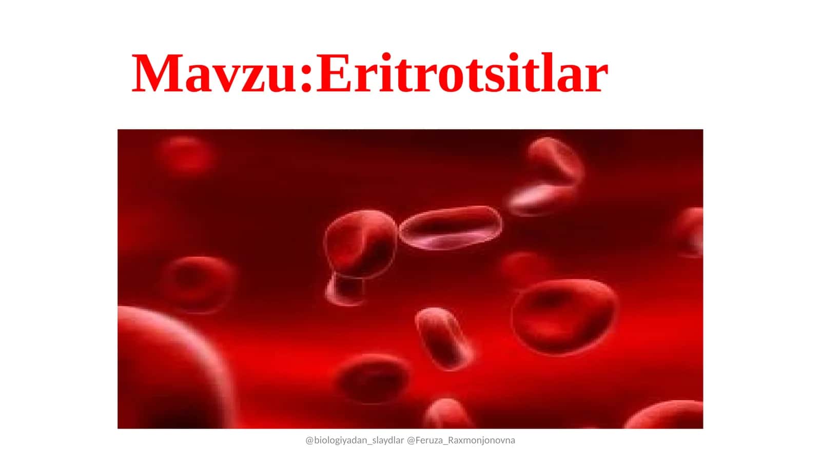 Eritrotsitlar