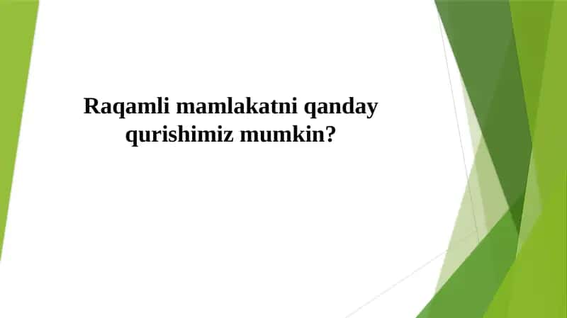 Raqamli mamlakatni qanday qurishimiz mumkin