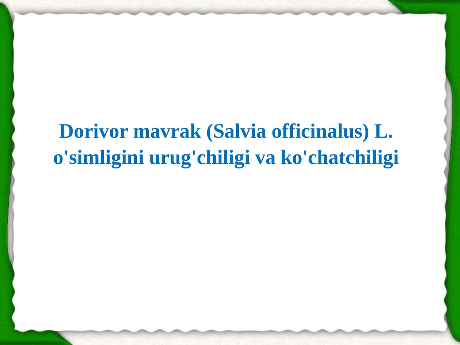Dorivor mavrak (Salvia officinalus) L. o'simligini urug'chiligi va ko'chatchiligi