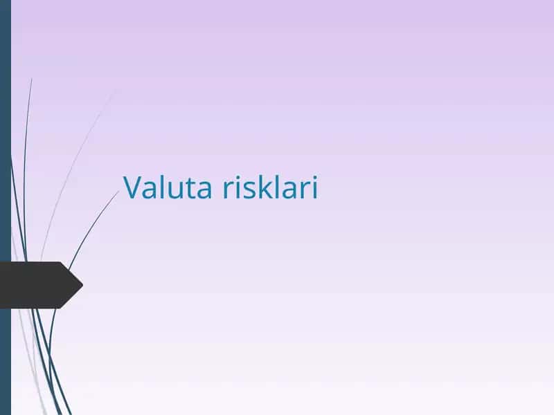 Valuta risklari