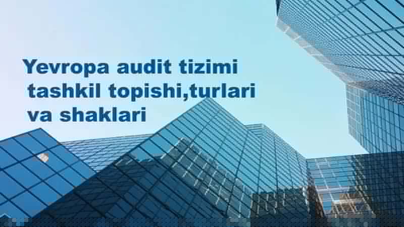 Yevropa audit tizimi
