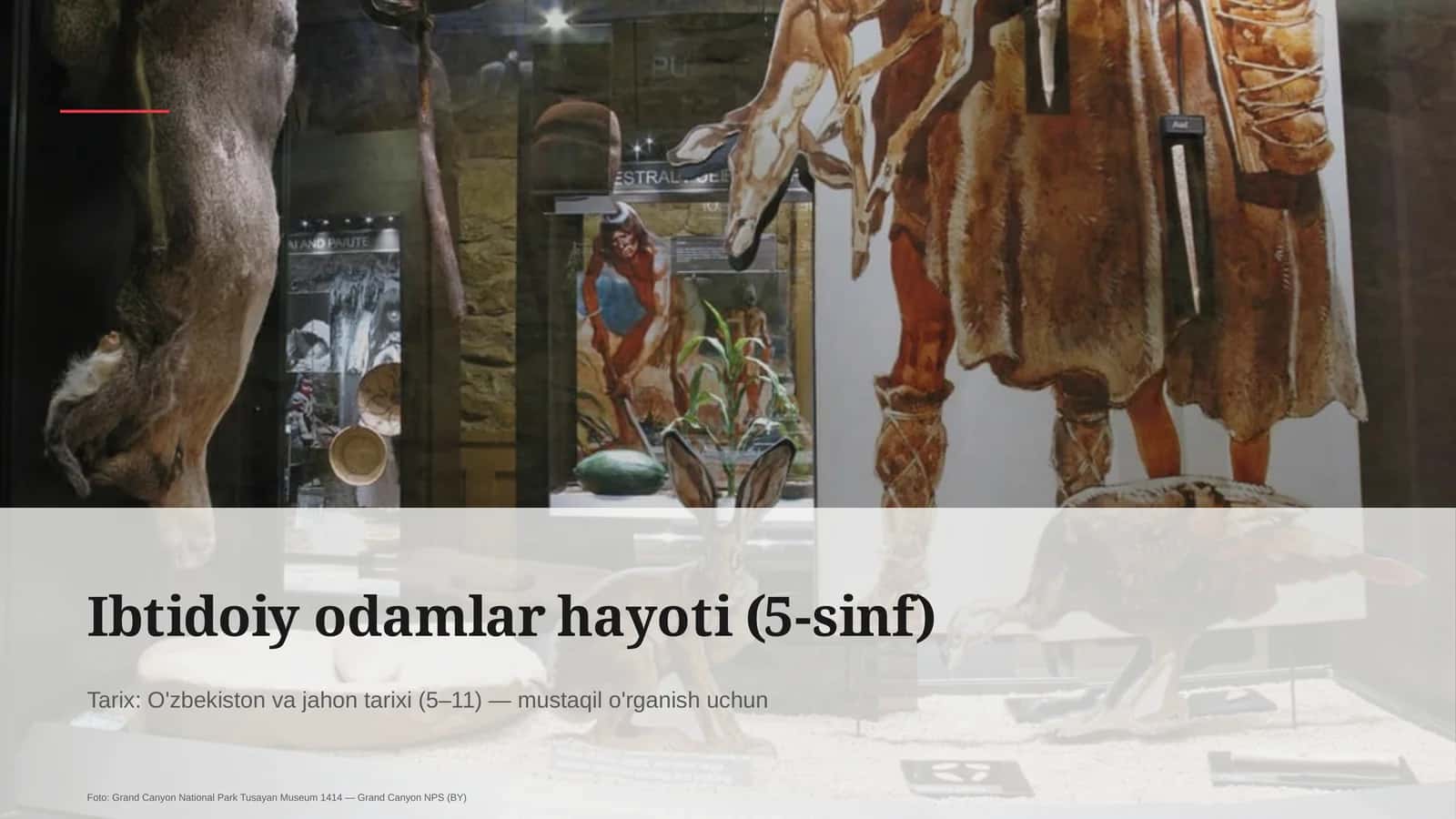 Ibtidoiy odamlar hayoti (5-sinf)
