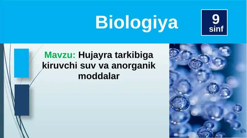Hujayratarkibigakiruvchisuvvaanorganikmoddalar
