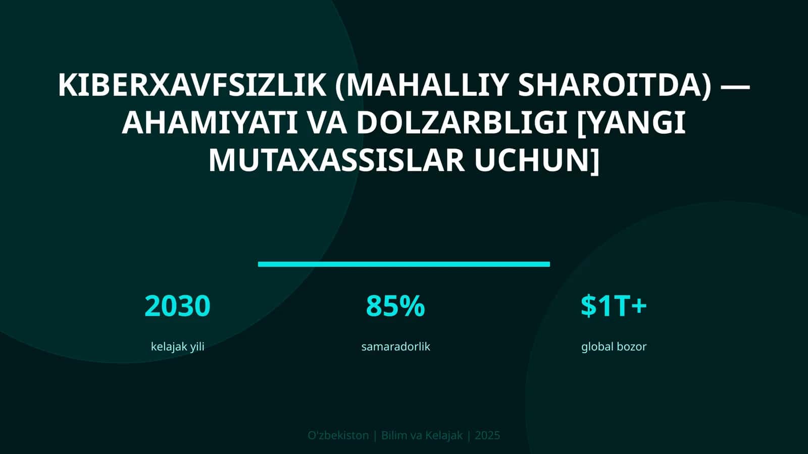 Kiberxavfsizlik (mahalliy sharoitda) — ahamiyati va dolzarbligi [yangi mutaxassislar uchun]