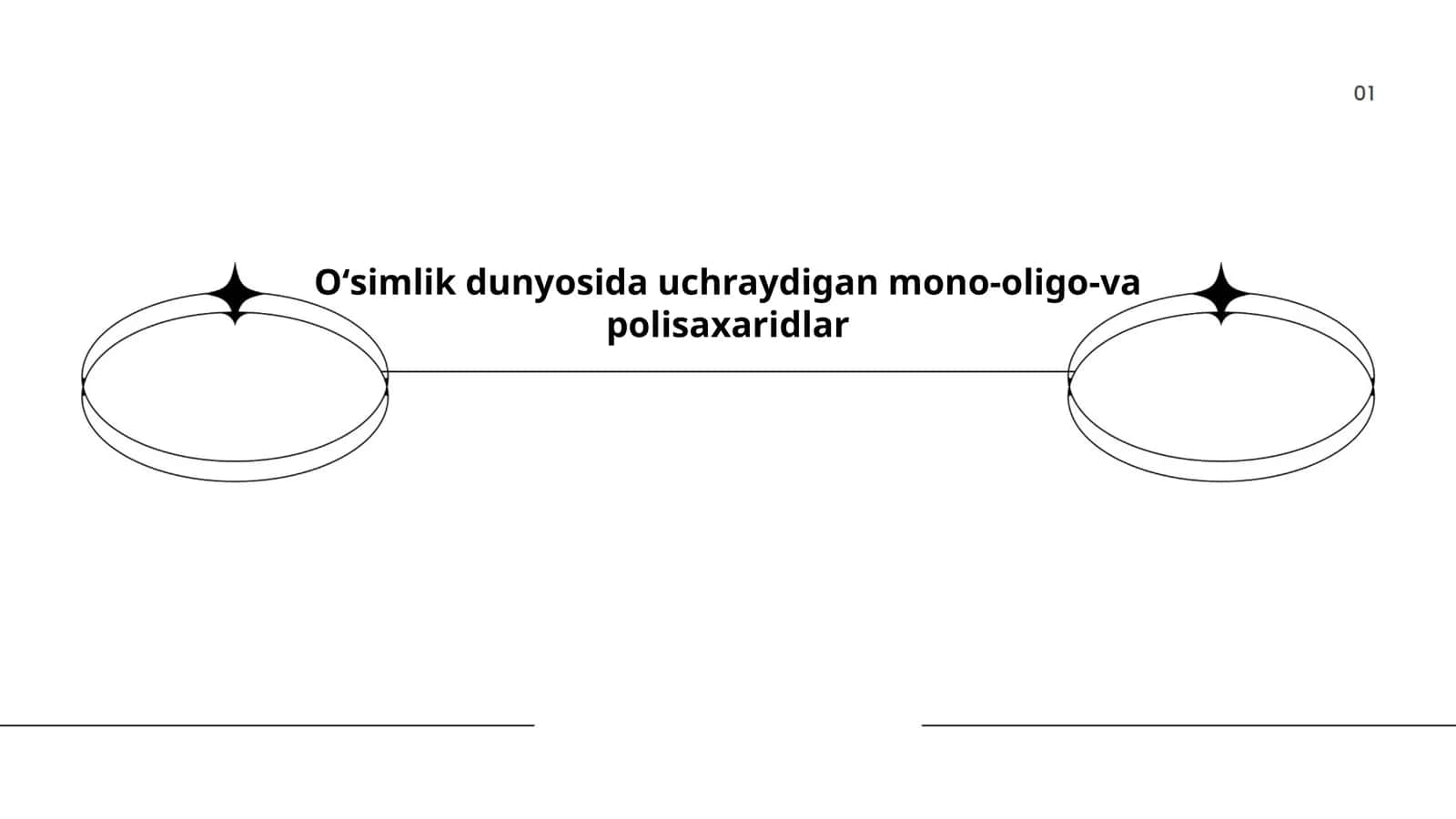 Oʻsimliklarda polisaxaridlarning turlari