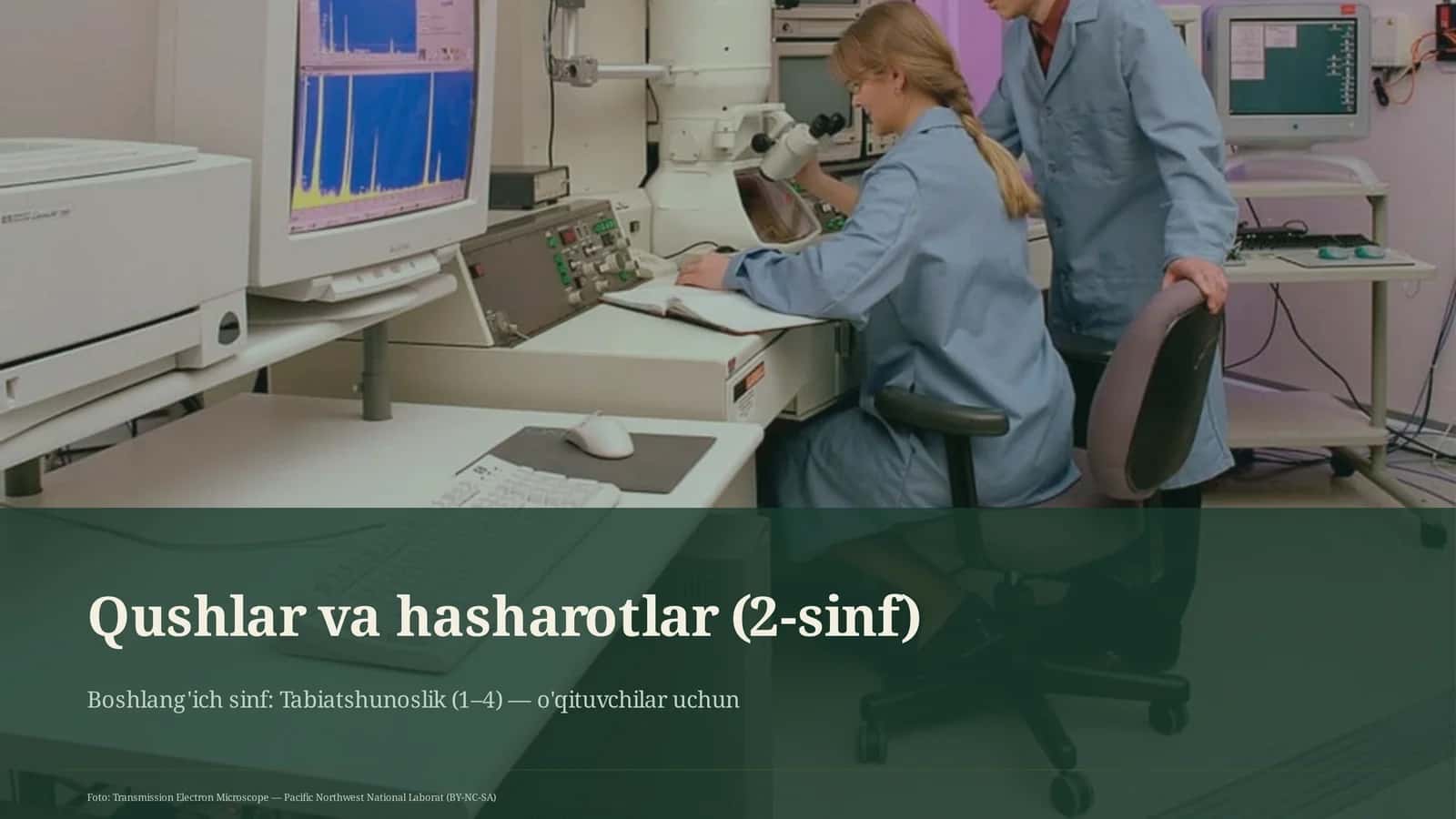 Qushlar va hasharotlar (2-sinf)