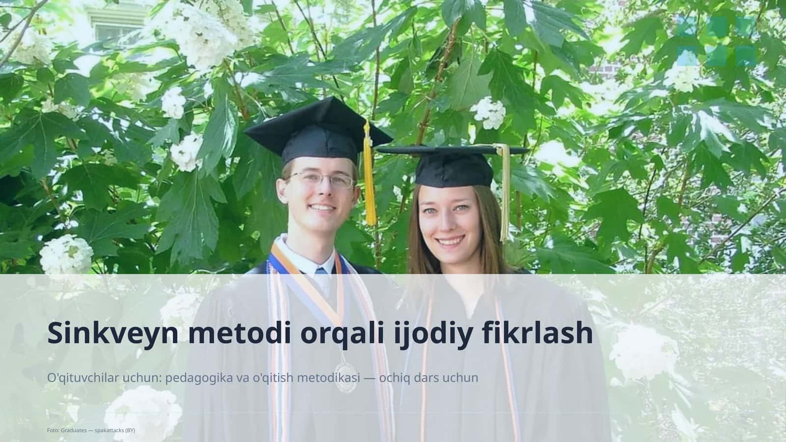 Sinkveyn metodi orqali ijodiy fikrlash