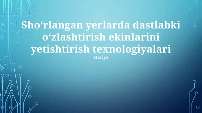 Shoʻrlangan yerlarda dastlabki oʻzlashtirish ekinlarini yetishtirish texnologiyalari 1