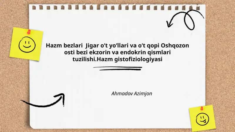 Hazm bezlari Jigar