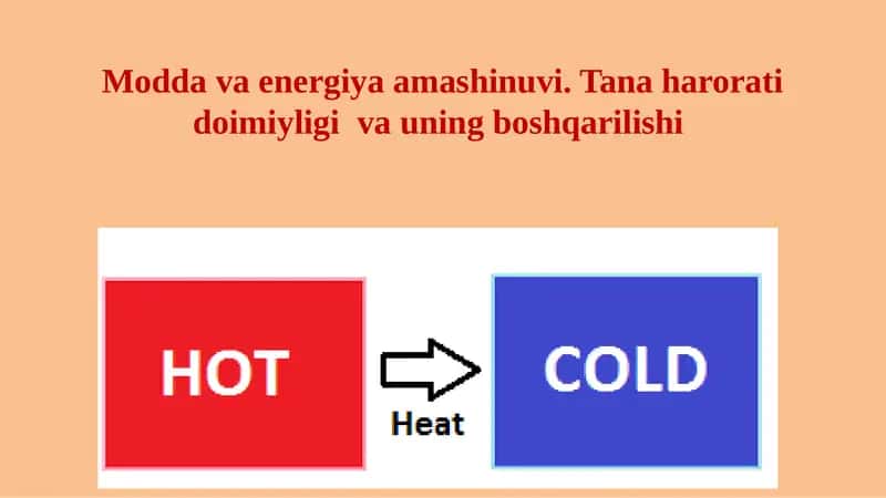 Modda va energiya amashinuvi. Tana harorati doimiyligi va uning boshqarilishi