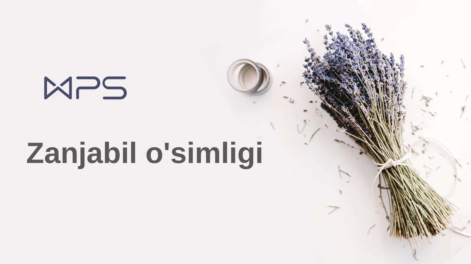 Zanjabil o'simligi