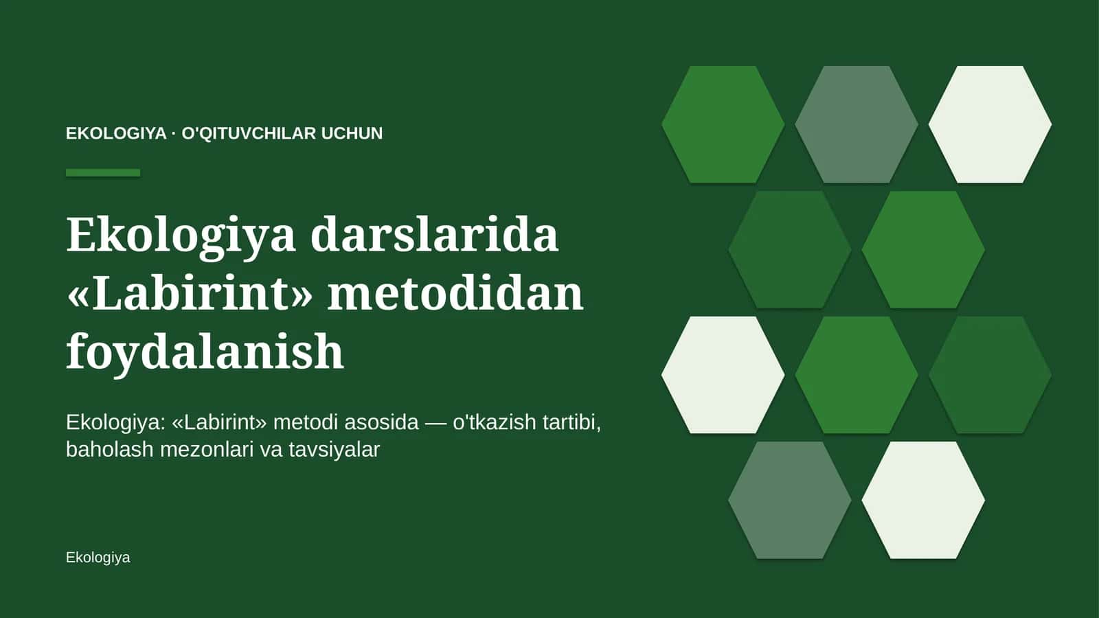 ekologiya darslarida labirint metodidan foydalanish 6557