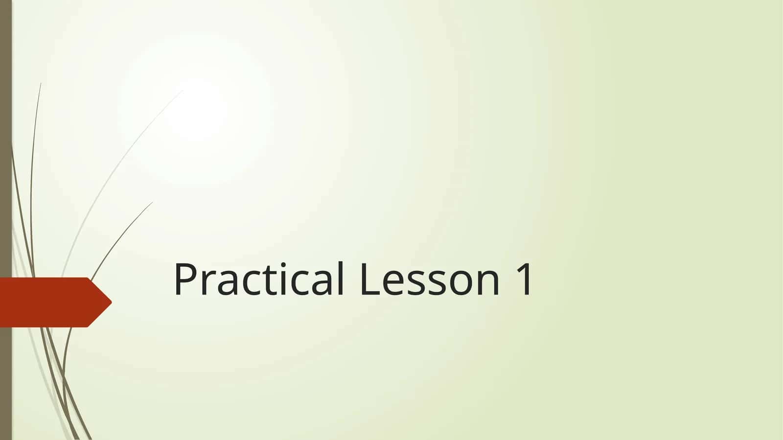 Practical Lesson 1