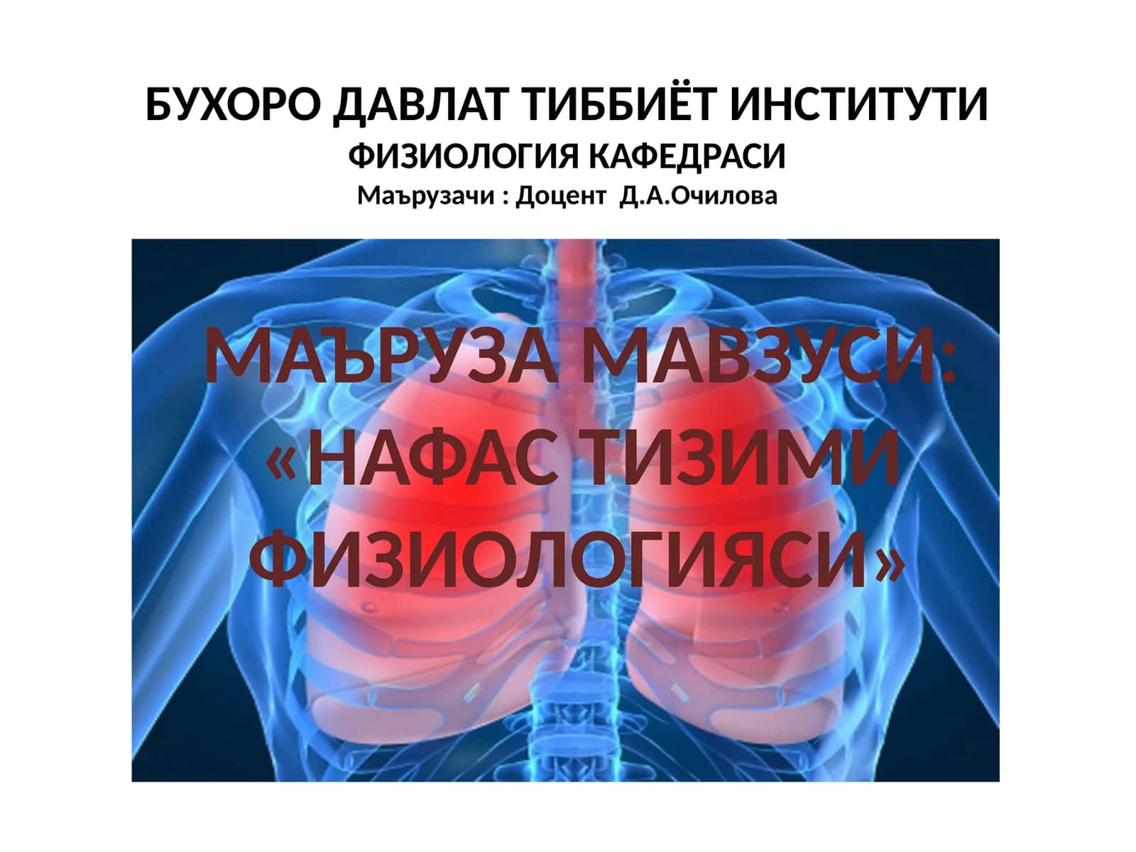 Нафастизимифизиологияси