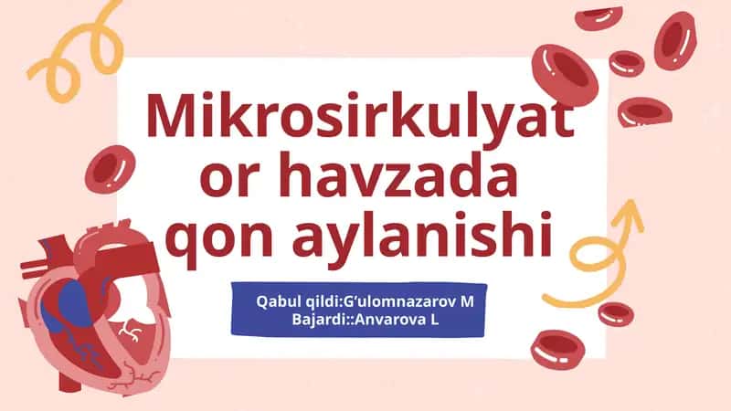 mikrosirkulyator havzada qon aylanishi