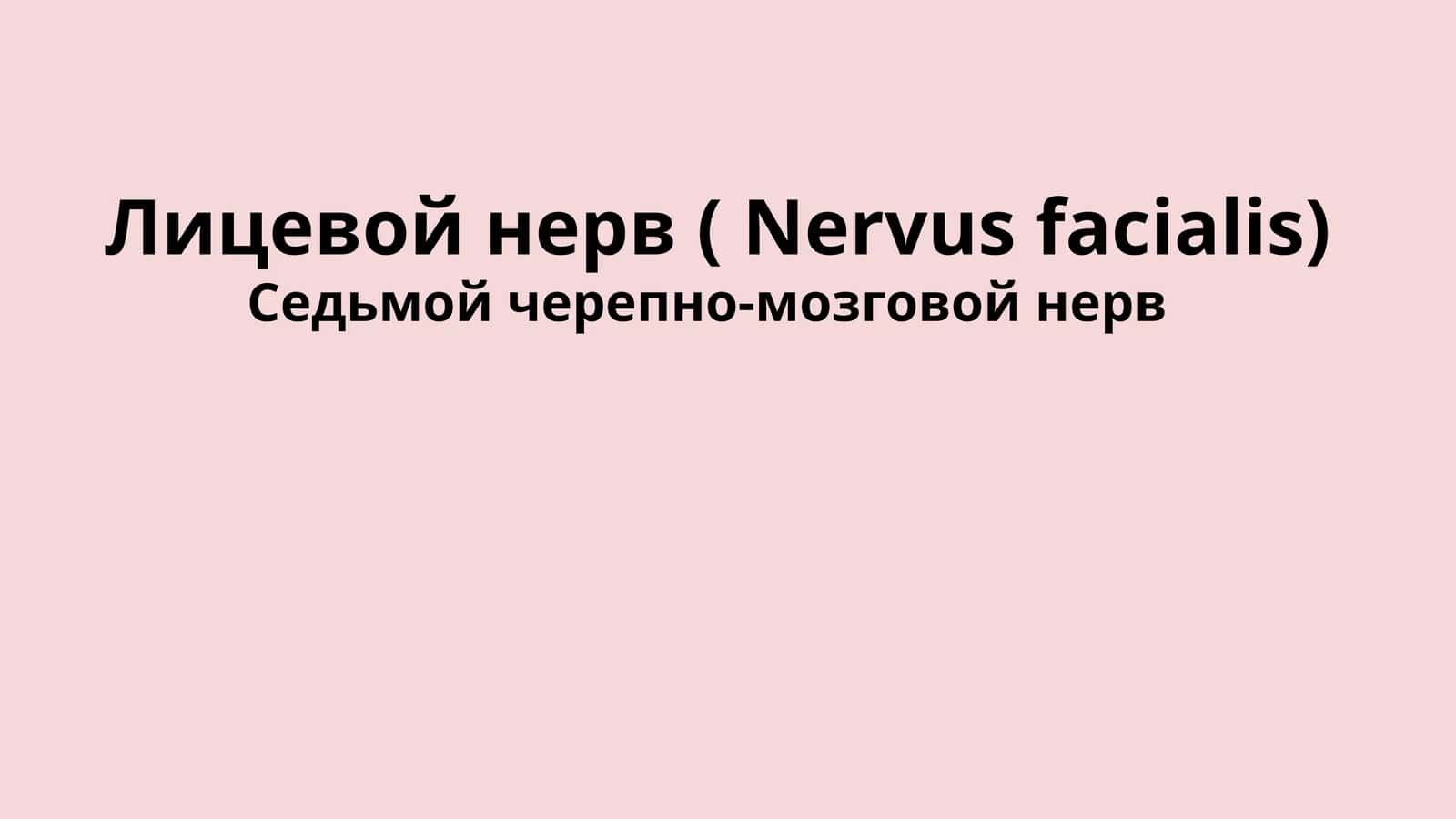 Nervus facialis