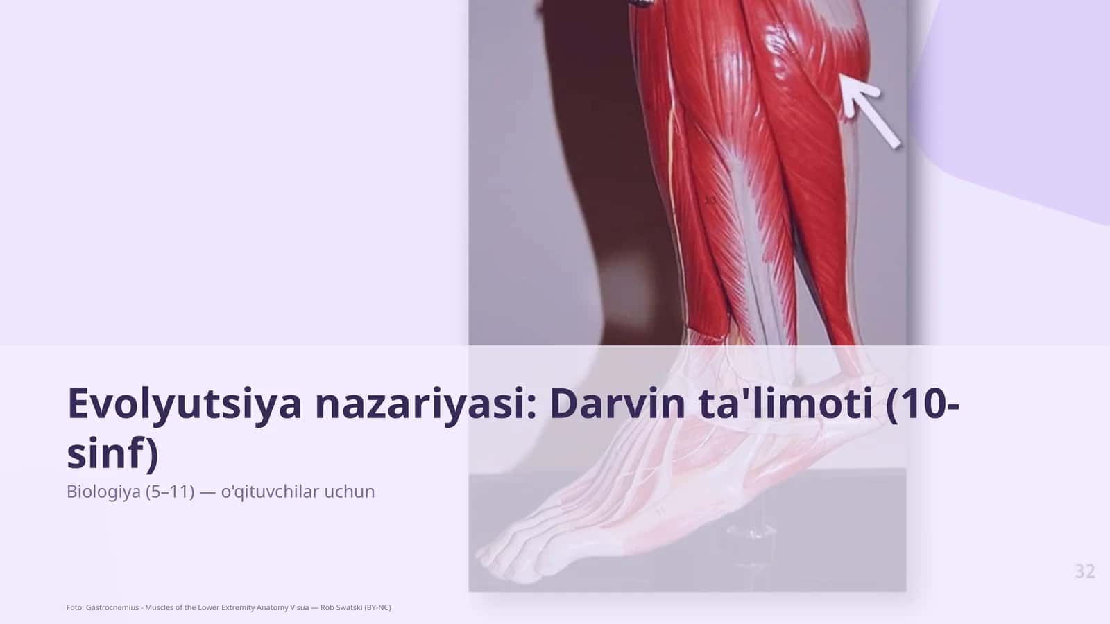 Evolyutsiya nazariyasi: Darvin ta'limoti (10-sinf)