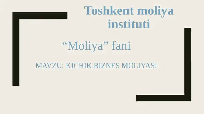 KICHIK BIZNES MOLIYASI