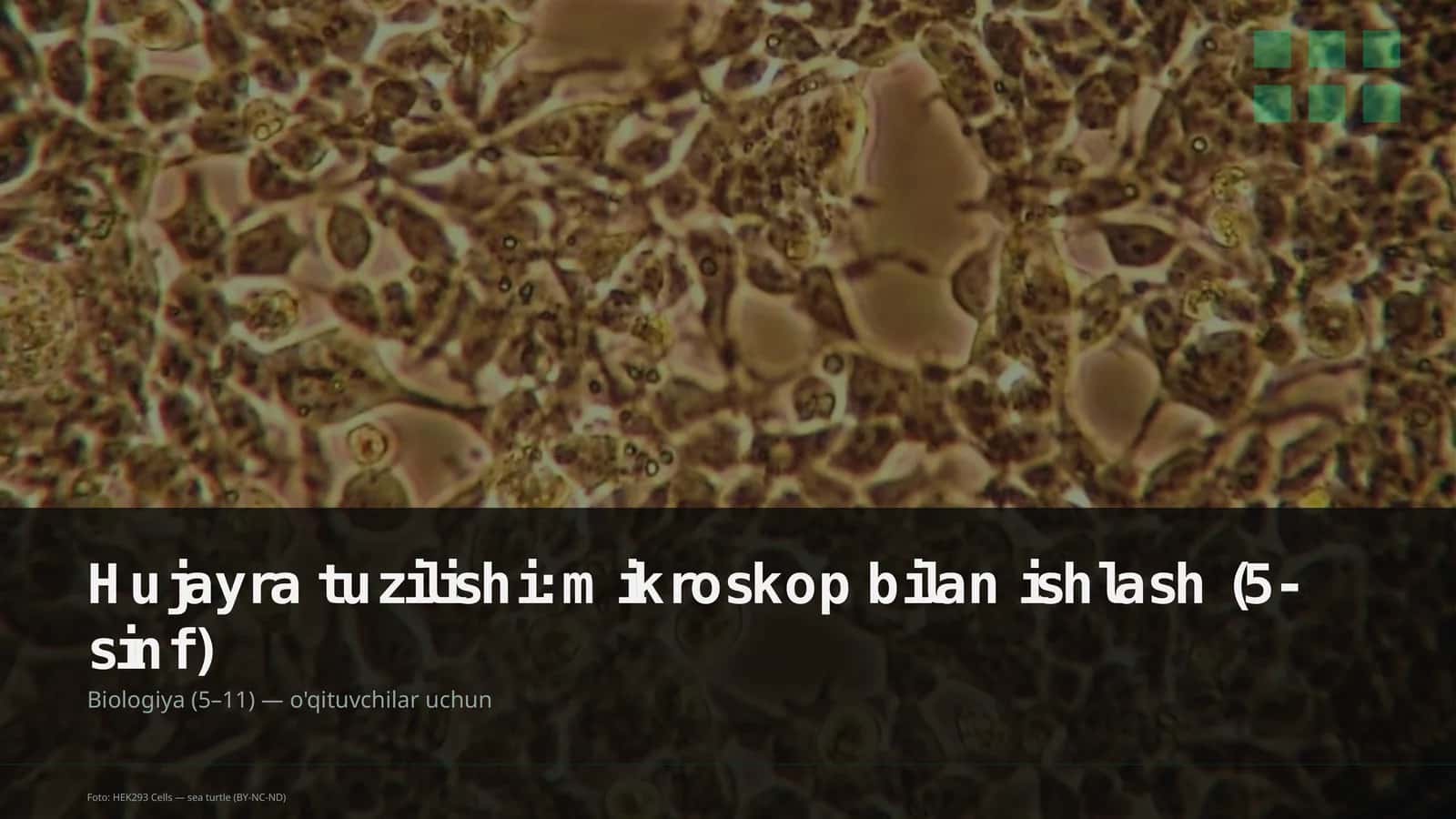 Mikroskop bilan ishlash