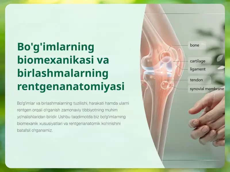 Bogimlarning-biomexanikasi-va-birlashmalarning-rentgenanatomiyasi