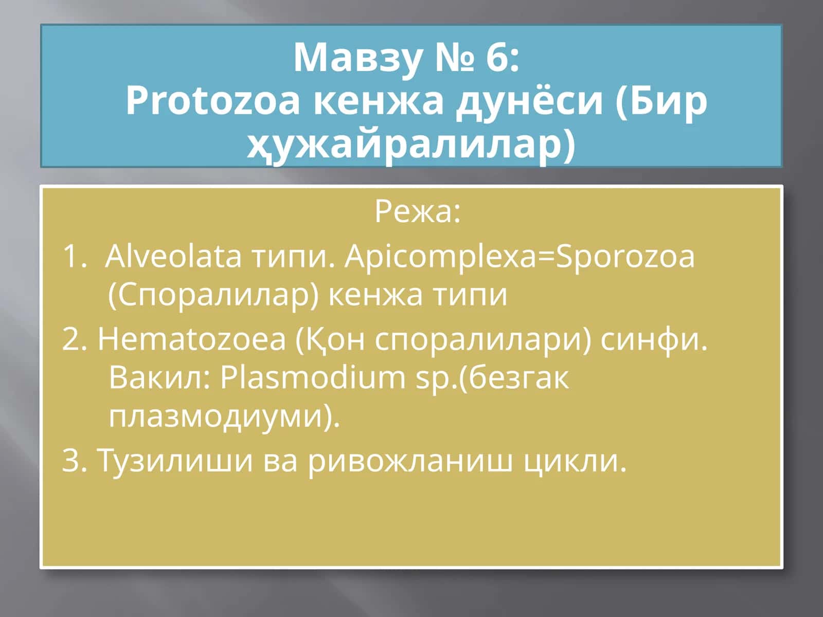 Protozoa кенжа дунёси (Бир ҳужайралилар)