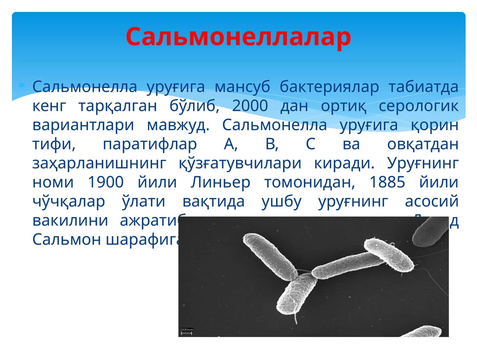 Сальмонеллалар