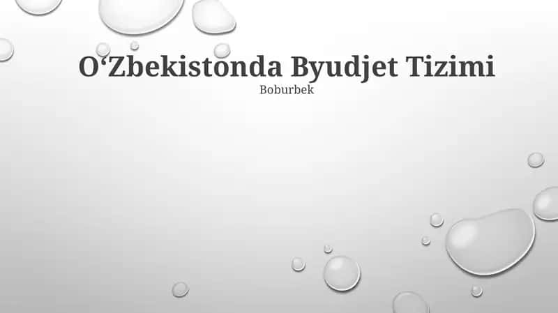 Byudjet Tizimi