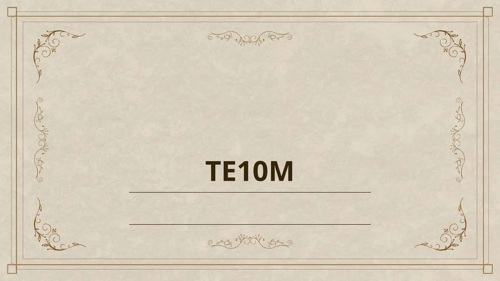 TE10M