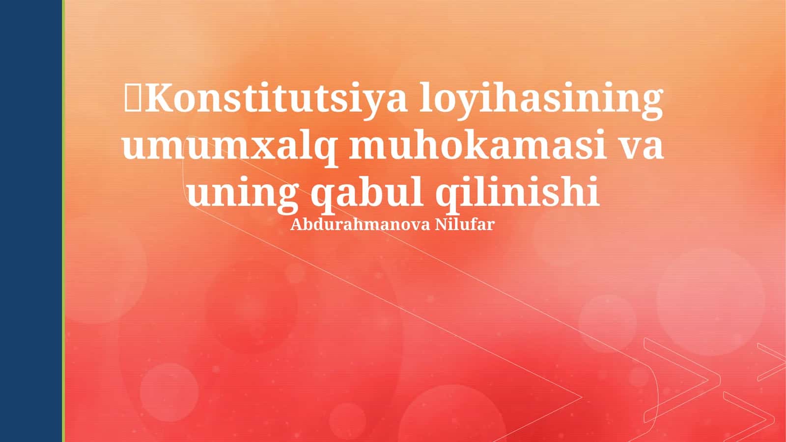 Konstitutsiya loyihasining umumxalq muhokamasi va uning qabul qilinishi