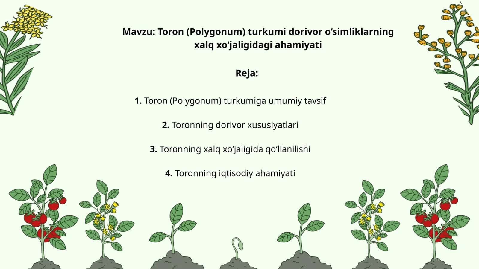 Toron (Polygonum) turkumi dorivor o‘simliklarning xalq xo‘jaligidagi ahamiyati