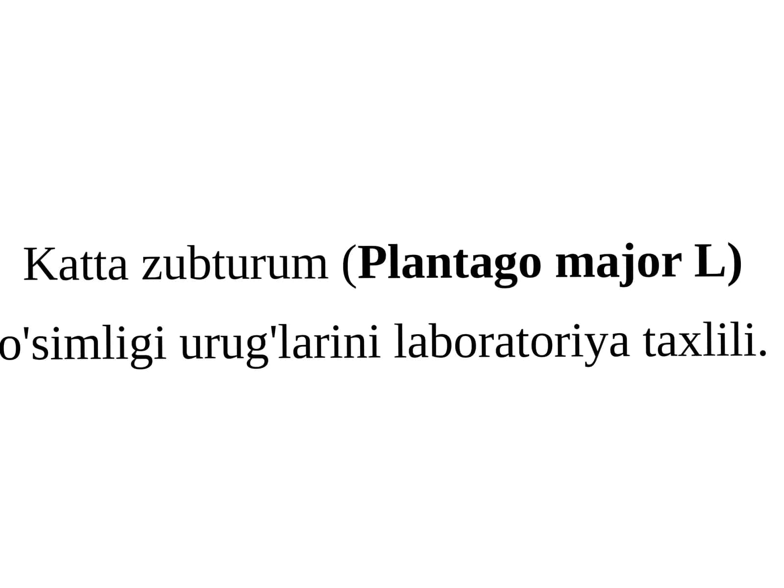 Kattazubturum(Plantagomajor L) o'simligi urug'larini laboratoriya taxlili