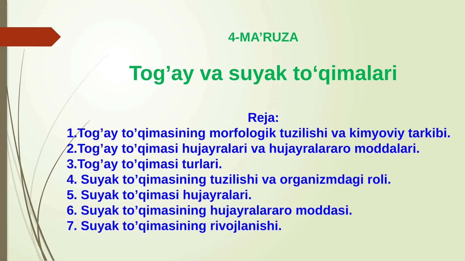 Tog’ay va suyak to‘qimalari