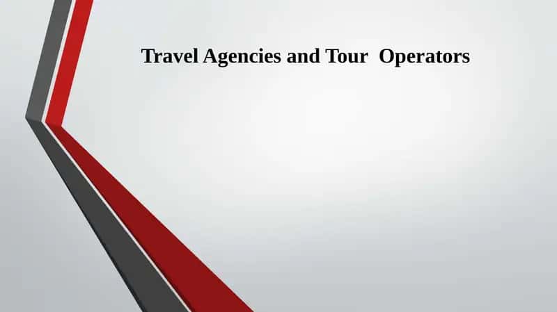 Travel Agencies and Tour Operators