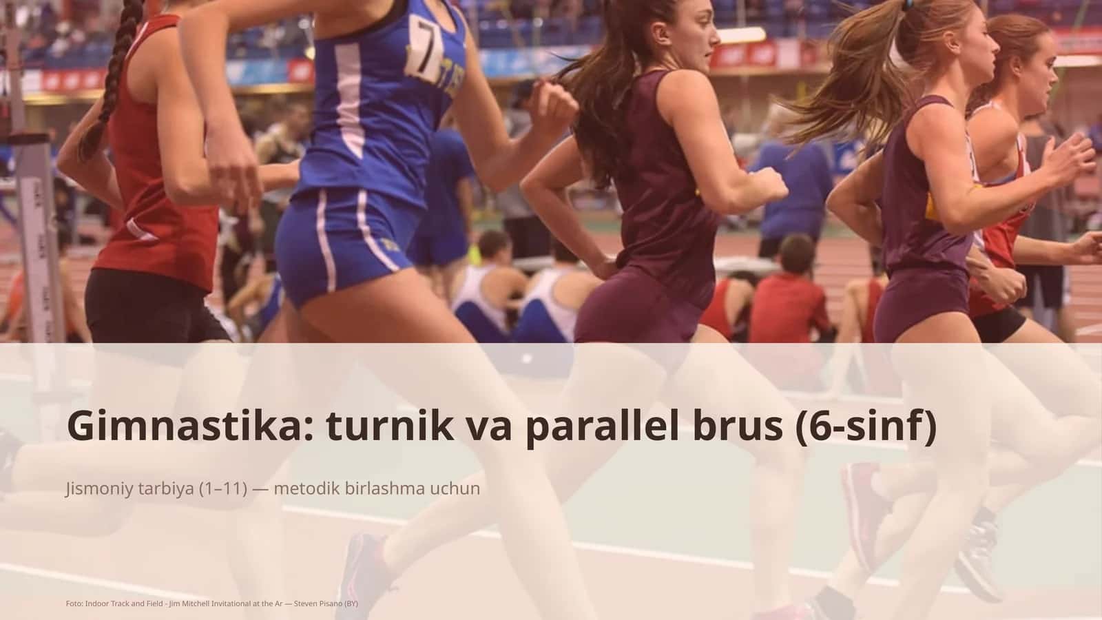 Gimnastika: turnik va parallel brus (6-sinf)