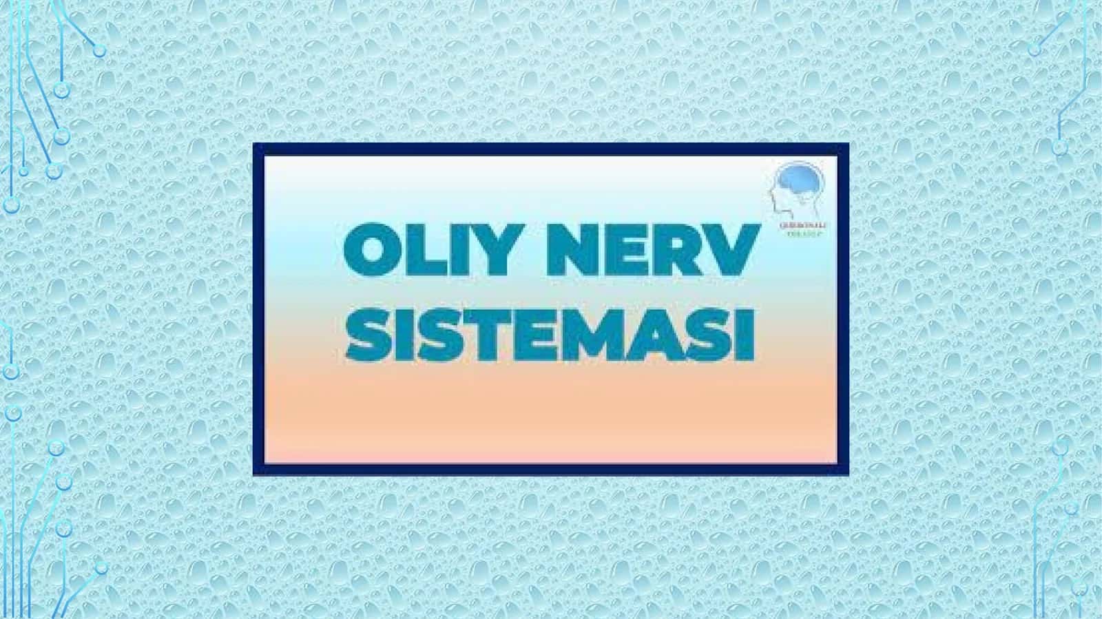 Oliy nerv faoliyati