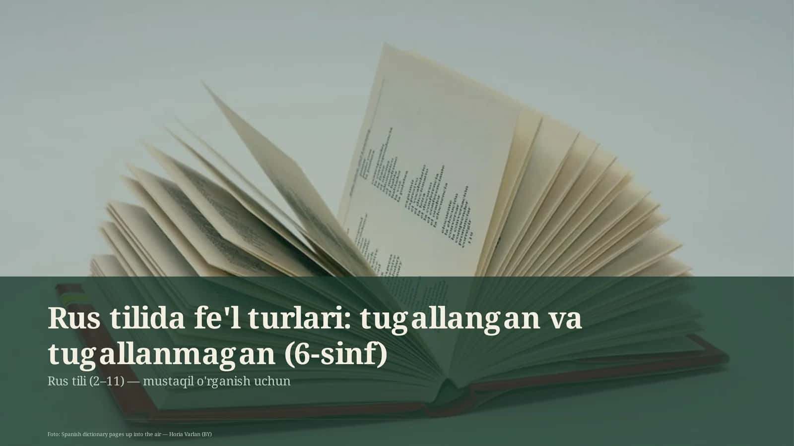 Rus tilida fe'l turlari: tugallangan va tugallanmagan (6-sinf)