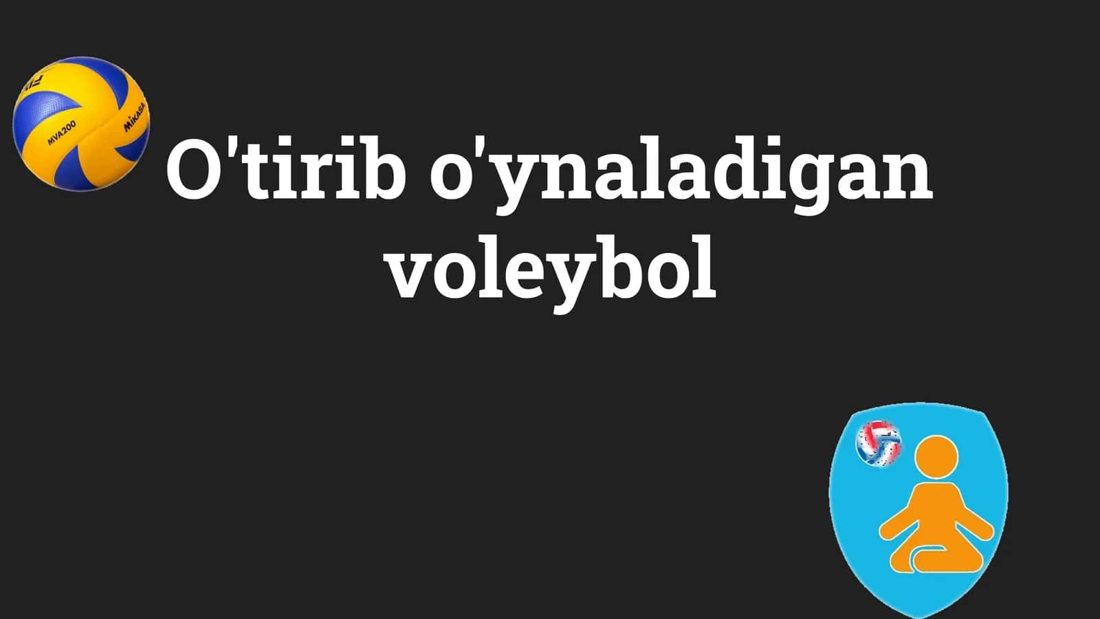 Imkoniyati cheklanganlar uchun o'tirib voleybol o'ynash