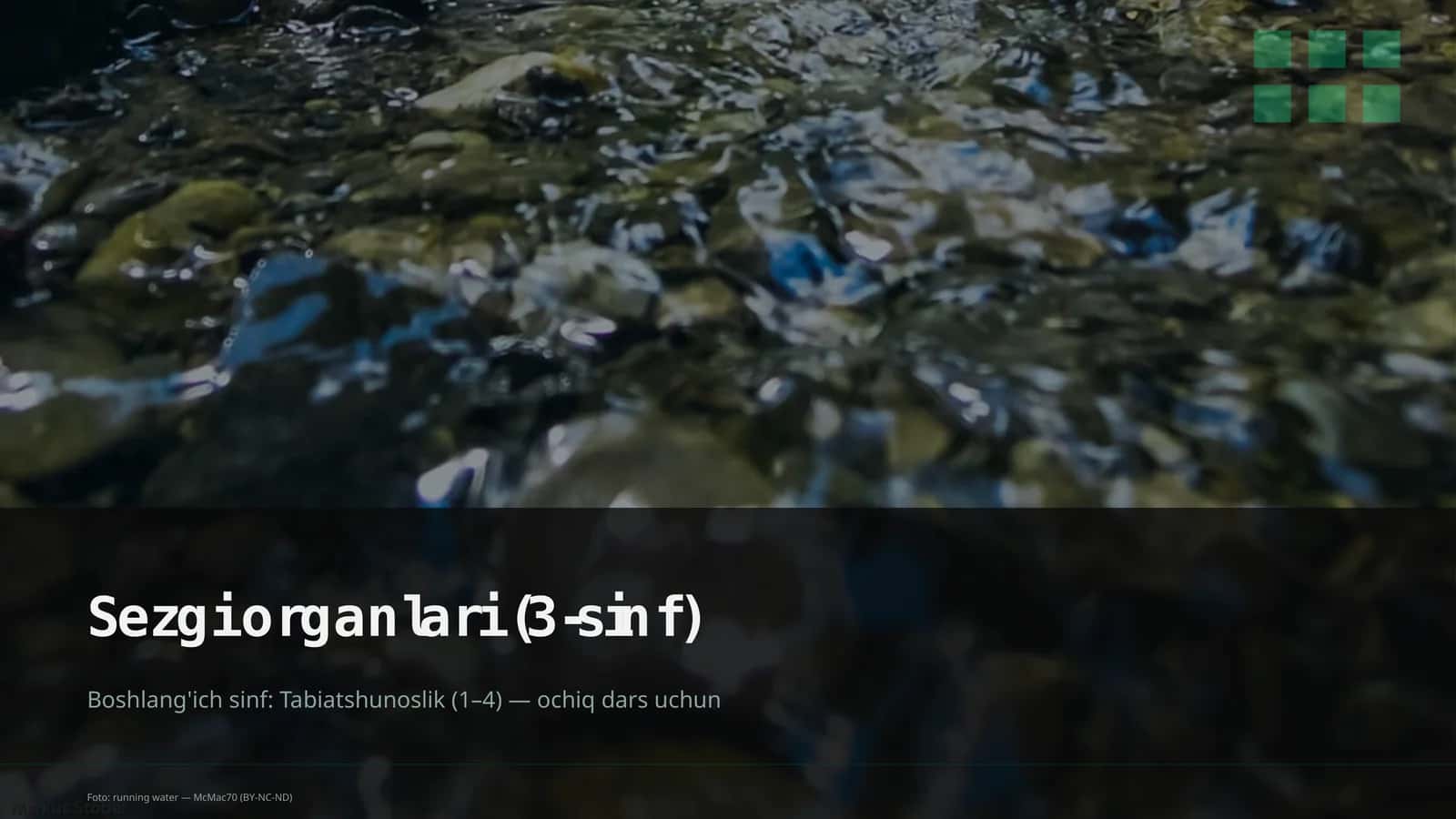 Sezgi organlari (3-sinf)