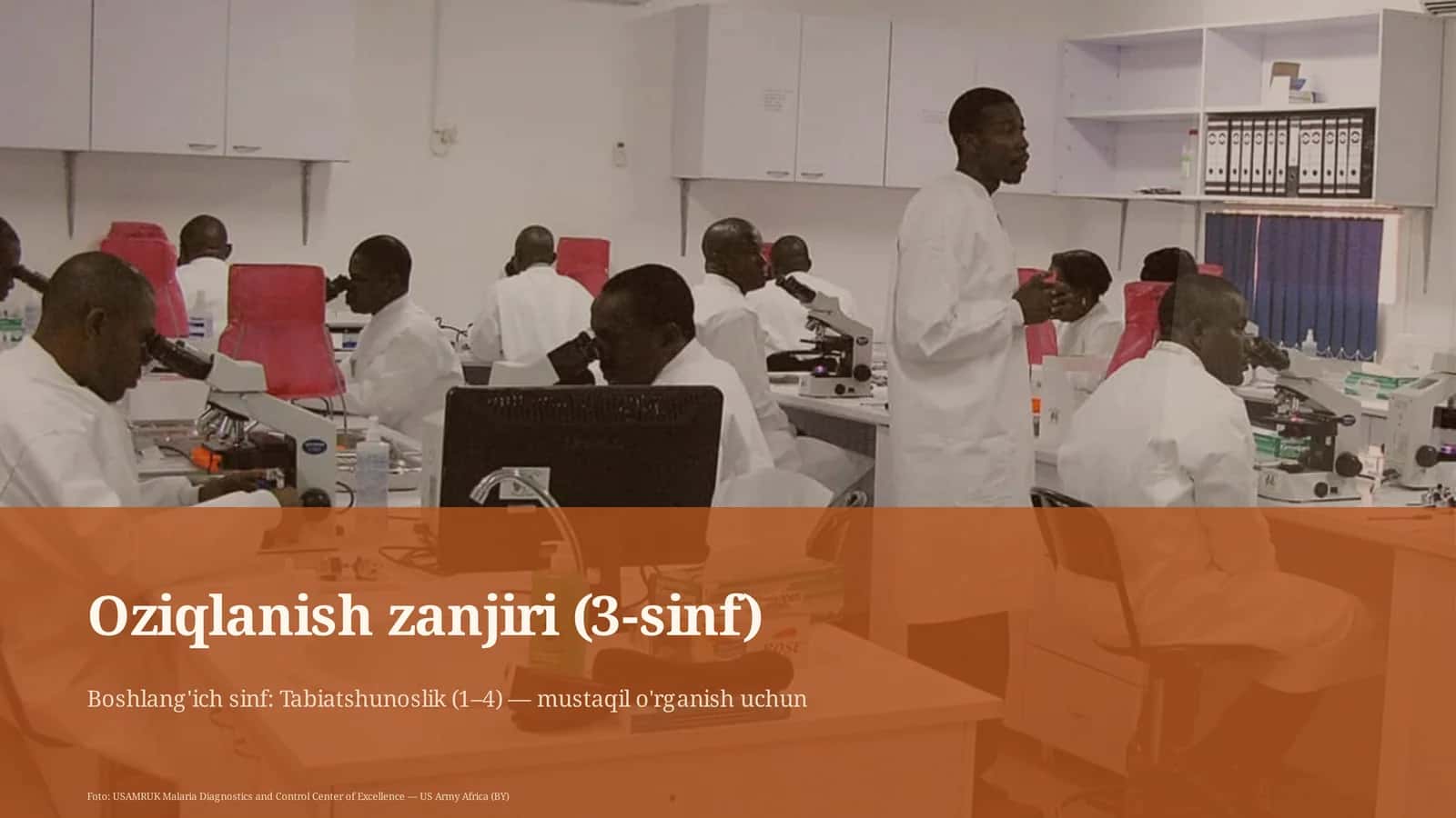 Oziqlanish zanjiri (3-sinf)
