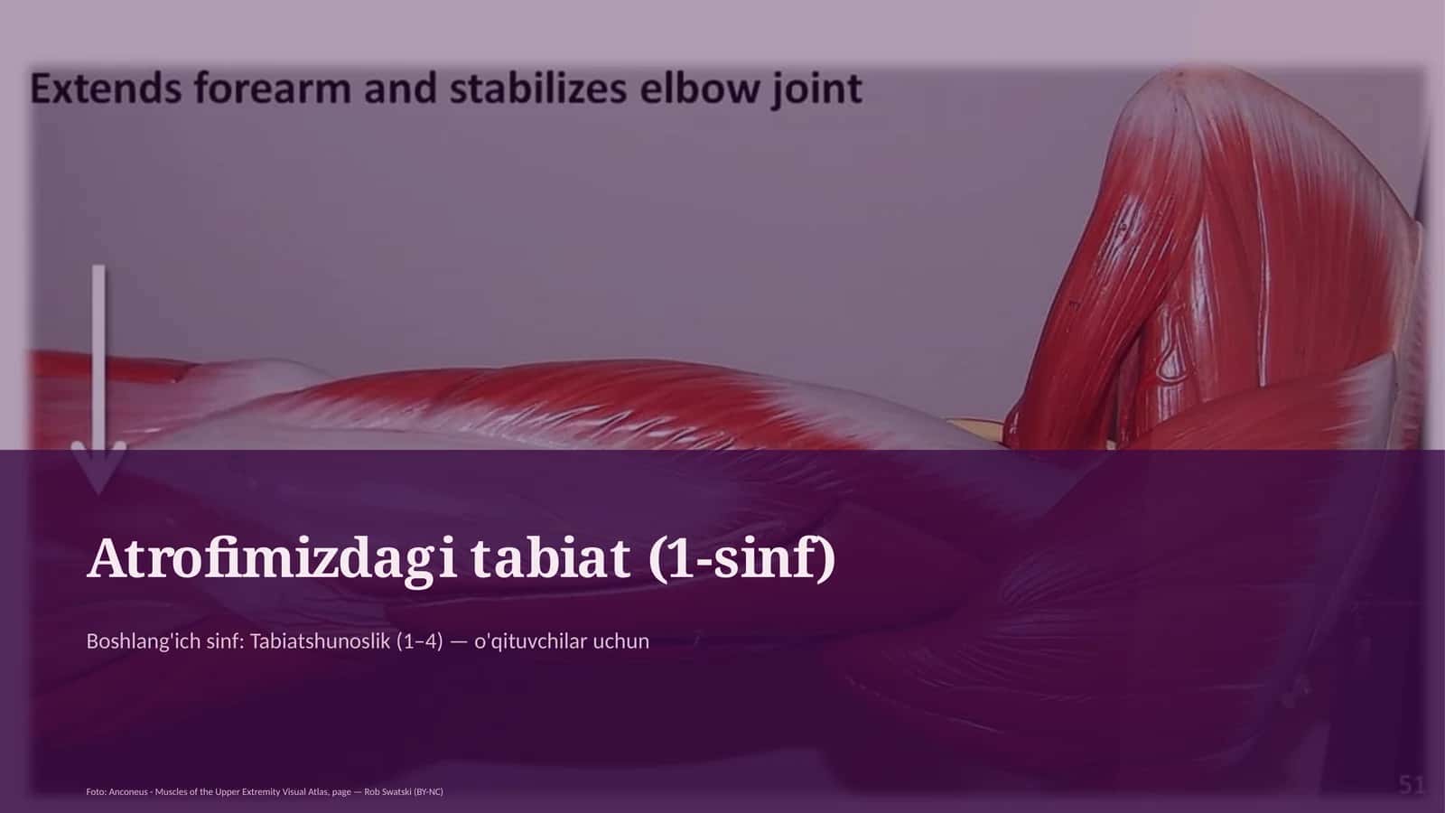 Atrofimizdagi tabiat (1-sinf)